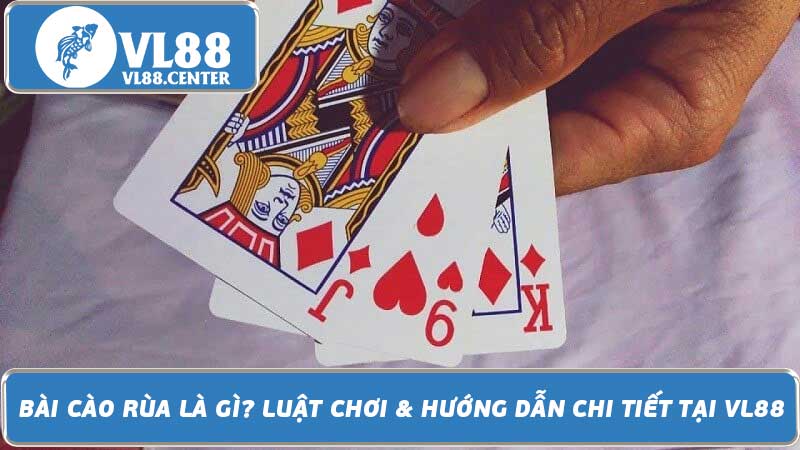 Bài Cào Rùa Là Gì Luật Chơi & Hướng Dẫn Chi Tiết Tại VL88