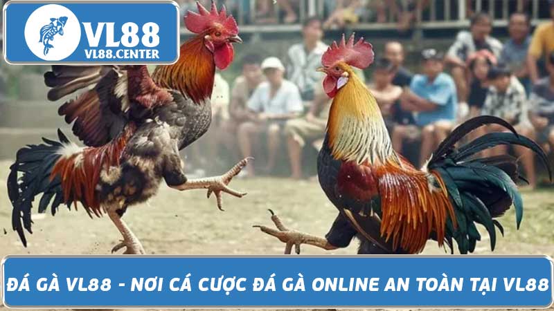 Đá Gà VL88 - Nơi Cá Cược Đá Gà Online An Toàn Tại VL88