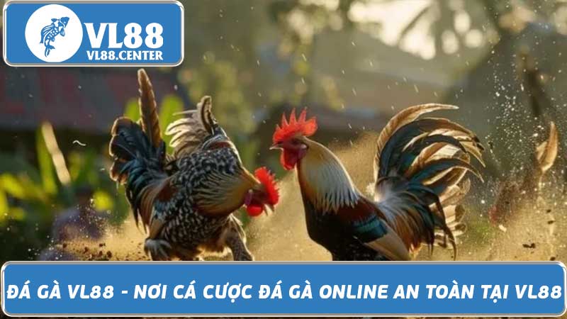 Đá Gà VL88 - Nơi Cá Cược Đá Gà Online An Toàn Tại VL88